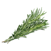 Rosemary Essential Oil